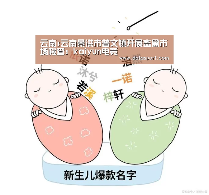 云南:云南景洪市普文镇开展畜禽市场检查:kaiyun电竞(图2) 开云电竞平台