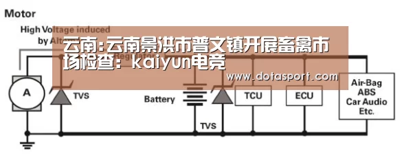 云南:云南景洪市普文镇开展畜禽市场检查:kaiyun电竞(图3) 开云电竞