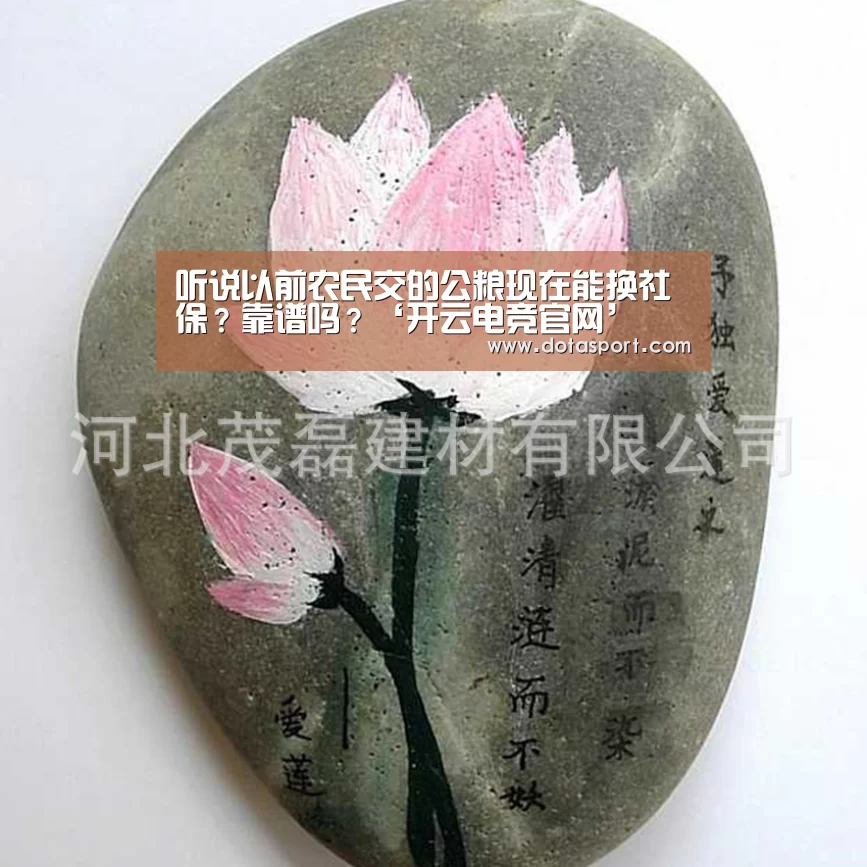 听说以前农民交的公粮现在能换社保?靠谱吗?‘开云电竞官网’(图4) 开云电竞官网