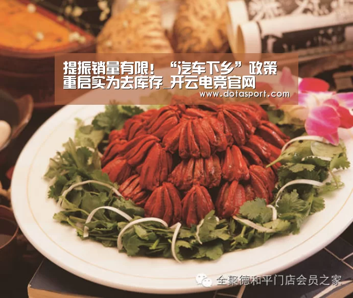 提振销量有限!“汽车下乡”政策重启实为去库存_开云电竞官网(图1) 开云电竞
