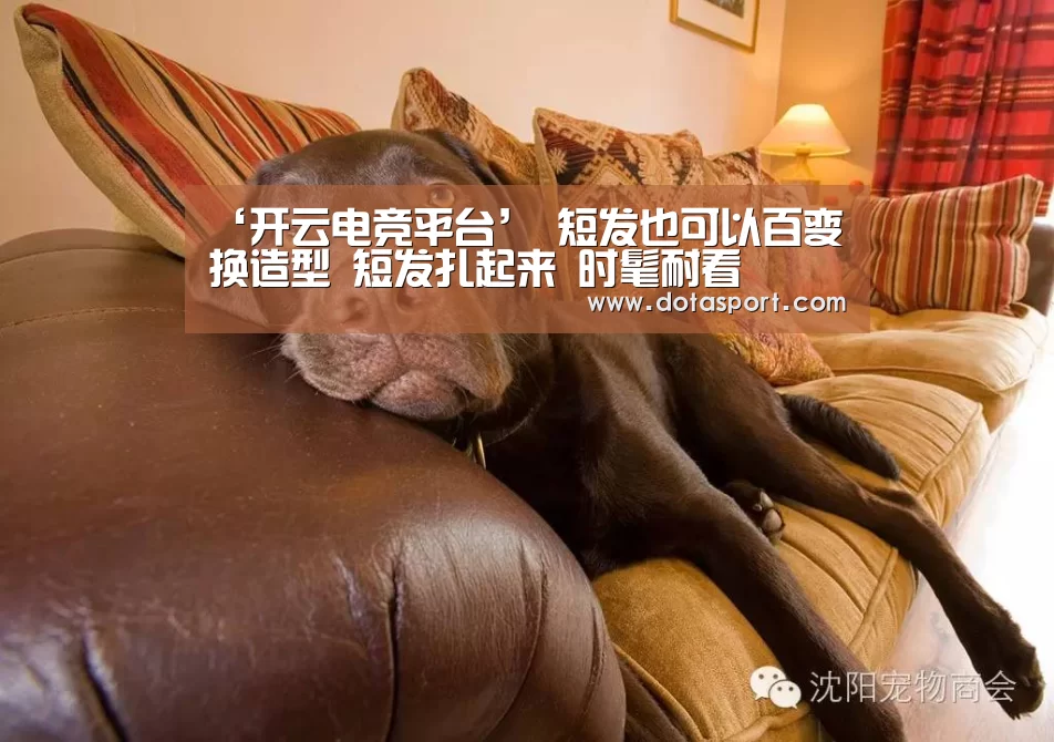 ‘开云电竞平台’
短发也可以百变换造型 短发扎起来 时髦耐看(图1) 开云电竞官网