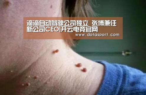 开云电竞官网